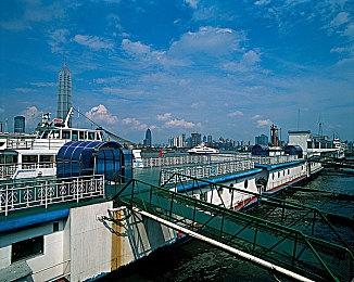 《幻兽帕鲁》最新更新发布 调整优化与修复问题