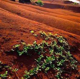 《华纳大乱斗》在线服务器今日关闭 离线模式仍可游戏