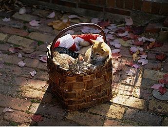 《暗黑破坏神4》第四赛季“寻宝重生